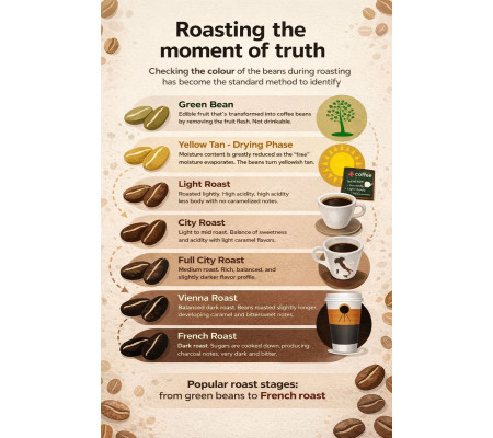 Roasting: The Moment of Truth — Light vs Dark Coffee Beans