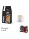 Utopia Strong - 12  Coffee Capsules Caffitaly Compatible by Italian Coffee